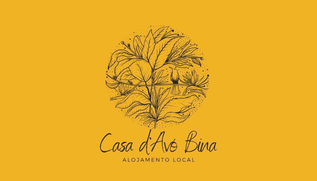 Casa D'Avo Bina Alojamento Local Виана до Кастело Екстериор снимка